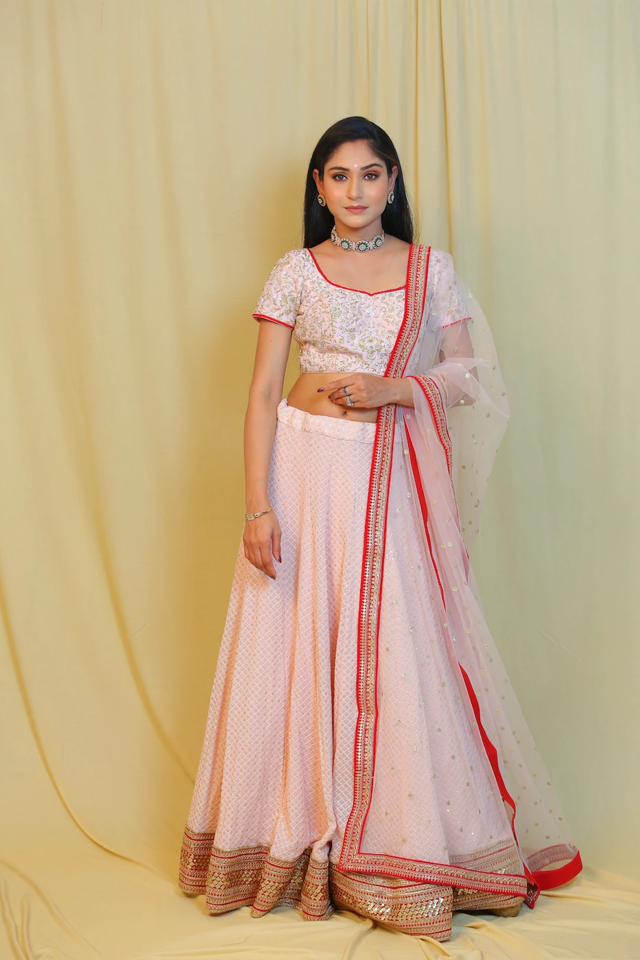 blush-pink-georgette-mukaish-work-chikankari-lehenga-embellished-with-bright-red-border-paired-with-raw-silk-embroidered-blouse-and-matching-soft-net-dupatta-s?uid=1676522142