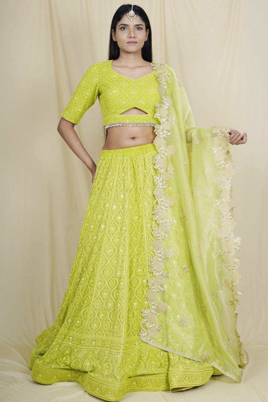 lime-green-georgette-chikankari-lehenga-l-limegreen?uid=1675052300