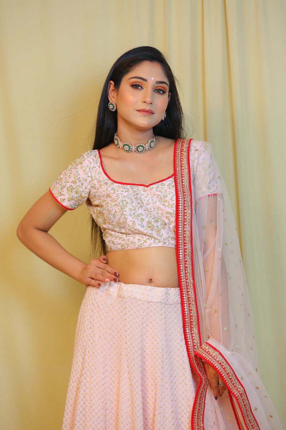 blush-pink-georgette-mukaish-work-chikankari-lehenga-embellished-with-bright-red-border-paired-with-raw-silk-embroidered-blouse-and-matching-soft-net-dupatta-s?uid=1676522142